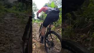 Review e test drive na Trek Procaliber 98  trek procaliber bike mtb [upl. by Demeter]