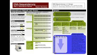 PCR KettenabruchMethode nach Sanger RFLP Biotechnologie [upl. by Marilou]