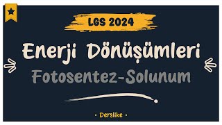 Enerji Dönüşümleri  LGS 2024 [upl. by Gentilis]