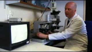 Britains CSI School  Hair and Fibre  The One Show [upl. by Nork357]