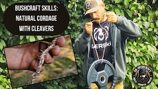 Bushcraft skills with Bærskin  Natural Cordage from cleavers [upl. by Veats581]