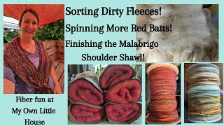 Sorting Fleeces and Spinning Batts [upl. by Ainahtan809]