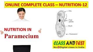 12 Nutrition  Life Process Class 10 Science Biology  NUTRITION IN Paramecium [upl. by Adnarrim]