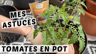 🍅 PLANTER LES TOMATES CERISES EN POT  MES ASTUCES POUR UNE PLANTATION RÉUSSIE  TUTO JARDINAGE [upl. by Nosnor]