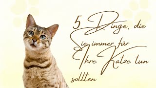 5 Dinge die Sie immer für Ihre Katze tun sollten [upl. by Fem]