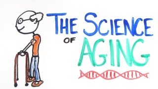 The Science of Aging [upl. by Ethelred]