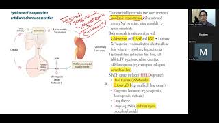 ثالث محاضرة لشرح ال Endocrine USMLE STEP 1 [upl. by Averir692]