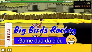 Y8 game 1 người đua xe  Big Birds Racing trò chơi Y8 8 [upl. by Ellerd970]