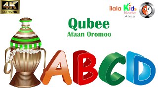 Qubee afaan Oromoo daaimman buuura barnootaatiif [upl. by Maroney]