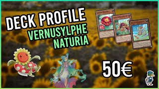 Deck Profile Vernusylphe  Naturia 50€  New support  OTK  Post DABL [upl. by Helene786]