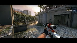 Vitality ZywOo  CSGO Fragmovie [upl. by Ocirederf]