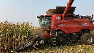 A Farmer Harvesting 300 Bushel Corn With a Case IH 9250 and a Grain Handling System Tour S2 E24 [upl. by Libb]