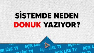 Donuk Yazması Kayıt Yenilemeye Engel mi [upl. by Adnohsad]