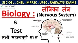 Gk  Nervous System  तंत्रिका तंत्र  For SSC CGL  CHSL  UPSC  RAILWAYS EXAMS [upl. by Adlemi]