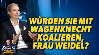 Alice Weidels BrandmauerRat an Merz und ihre Gedanken zu Wagenknecht [upl. by Rikki]