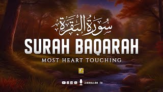 Best Surah Al Baqarah Full سورة البقره  Heart touching recitation  SOFT VOICE  Zikrullah TV [upl. by Kerwon]