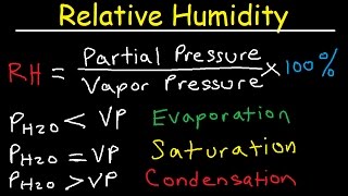 Relative Humidity  Dew Point Vapor amp Partial Pressure Evaporation Condensation  Physics [upl. by Atahs]