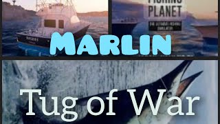 Fishing planet  Trainning Marlin Tug of War 3 uni [upl. by Yedarb]