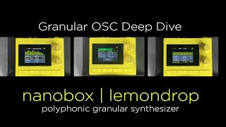 1010music nanobox  lemondrop Granular OSC Deep Dive [upl. by Gunas491]