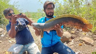 Snakehead Fishing On Spinner Lure  Fish Hunting soar machhli [upl. by Orozco448]