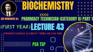 Polysachrides  Lecture 4 Part 2 [upl. by Aihtnis]