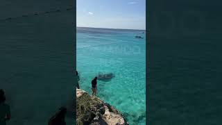 Essas você não pode deixar de conhecer 💙🇨🇼 curacao curacaoisland travel beach island [upl. by Orin426]