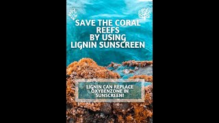 Lignin extraction from sugarcane bagasse for natural sunscreen appplication [upl. by Einberger]