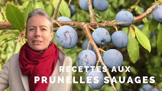 Prunelles sauvages [upl. by Davena]