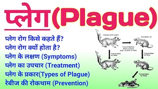 प्लेग रोग क्या है  plague disease in hindi  plague symptoms treatment prevention diagnosis ताऊन [upl. by Nodnab534]