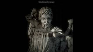 Dr Who edit  Dont blink  The Buttress  Brutus [upl. by Angadreme]