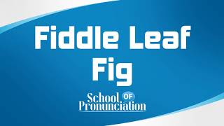 Learn How To Pronounce FiddleLeaf Fig [upl. by Rosena]