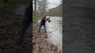 West Virginia Trout Stocking Three Forks Creek WV [upl. by Domineca]