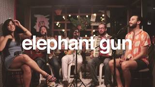 Elephant Gun – Beirut Cover Celso Haddad e Caminantes [upl. by Isewk]