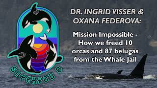 Superpod 8  Dr Ingrid Visser amp Oxana Federova  Freeing Whales from the Whale Jail [upl. by Brower]