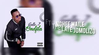 Nghee waile ft the late Jomolizo [upl. by Neb]