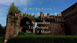 G Sammartini  Trio Sonata 2 Alto Recorders amp B C No 1 in F Major [upl. by Namwen]