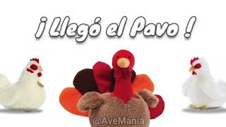 Llegó el Pavo [upl. by Bac615]