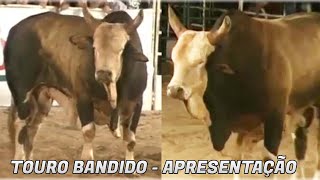 Esnar Ribeiro ● Apresenta o Touro Bandido [upl. by Yahsat]