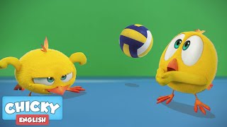 Wheres Chicky  CHICKY IS SPORTY  Chicky Cartoon in English for Kids [upl. by Marley]