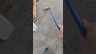 This weeks raking session 🤪 asmr bliss carpetcleaning carpetraking satisfying youtube [upl. by Heyes]