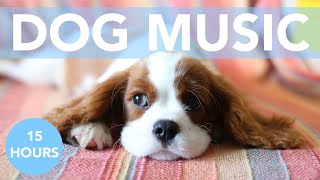 Music for Dogs Soothing Songs for Dog Anxiety Depression and Hyperactivity [upl. by Zorana566]