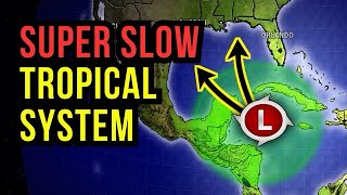 Tropical System is Very Slow [upl. by Eirbua]