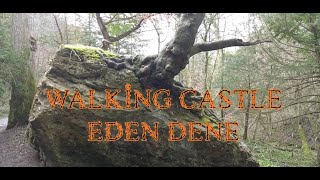 Castle Eden Dene Nature reserve [upl. by Hudis]