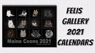 Maine Coon cats 2021 Calendars [upl. by Ecilahs643]