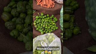 Mashed Capcicum Under the Microscope🔬🤮😱😱 reels microscope underground shorts mashed fyp [upl. by Placida]