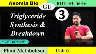 Triglyceride synthesis and breakdown CUET PG Bsc Botany GU 6th sem Dr Rajib Borah Axomia Bio [upl. by Dubois]