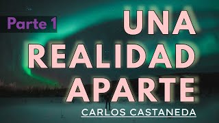 UNA REALIDAD APARTE  C Castaneda  Parte 1  Audiolibro completo  Español  Voz humana [upl. by Perzan]