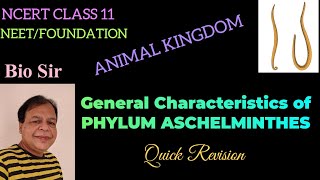 Aschelminthes Class 11 NCERT Animal Kingdom [upl. by Randell]