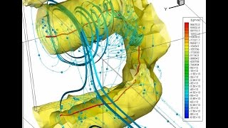 Vortex Visualization in Tecplot [upl. by Aubrette]