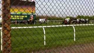 Aintree Grand National in the Steeplechase [upl. by Vyner854]